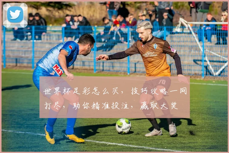 世界杯足彩怎么买，技巧攻略一网打尽，助你精准投注，赢取大奖
