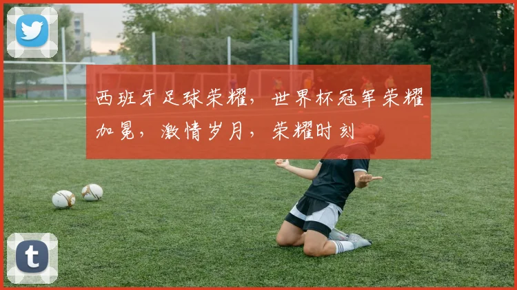 西班牙足球荣耀，世界杯冠军荣耀加冕，激情岁月，荣耀时刻