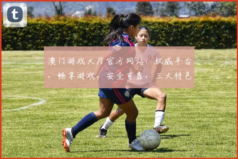 澳门游戏大厅官方网站，权威平台，畅享游戏，安全可靠，三大特色，一网打尽，尽在掌握。