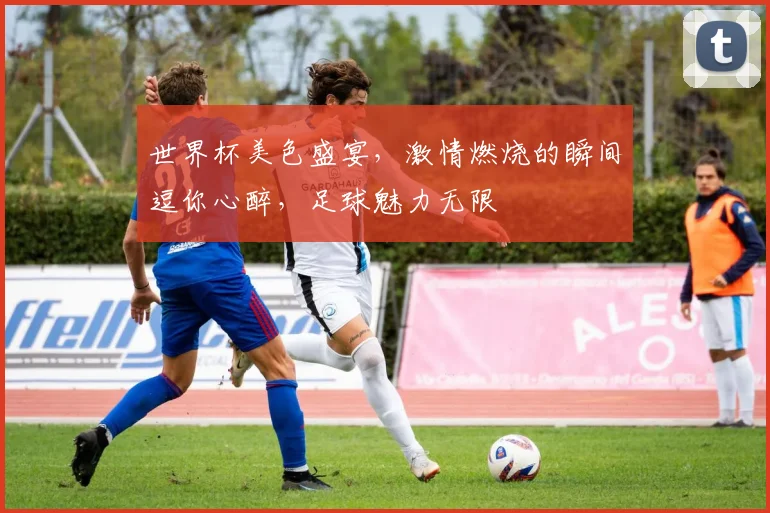 世界杯美色盛宴，激情燃烧的瞬间逗你心醉，足球魅力无限