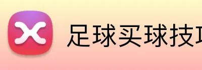 足球买球技巧 Logo